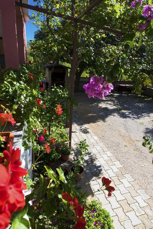 Zile Starigrad Paklenica